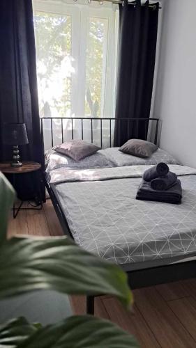 Ένα ή περισσότερα κρεβάτια σε δωμάτιο στο APARTAMENT FLOWERS - KIELCE