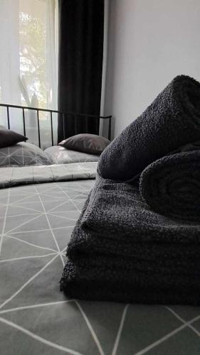 a bedroom with two beds and a rug on the floor at APARTAMENT FLOWERS - KIELCE in Kielce