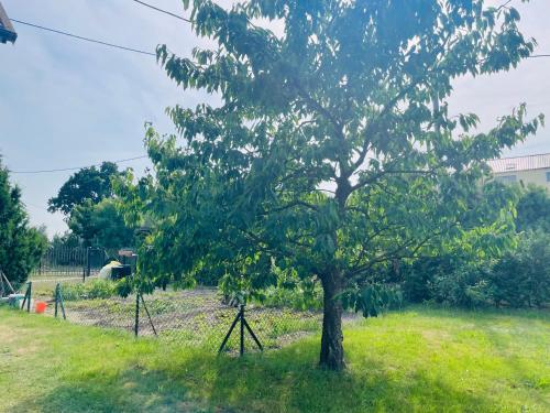 Gambar di galeri bagi Apartament MIKO di Mikoszewo