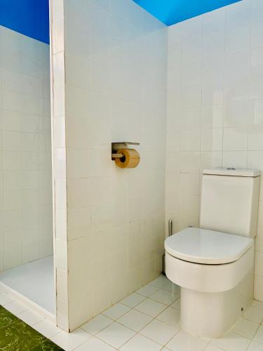 a bathroom with a toilet in a room at Carmen Guillemot in Alcanar