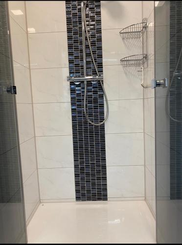a shower with a glass door in a bathroom at Apartment Wohner in Petersaurach