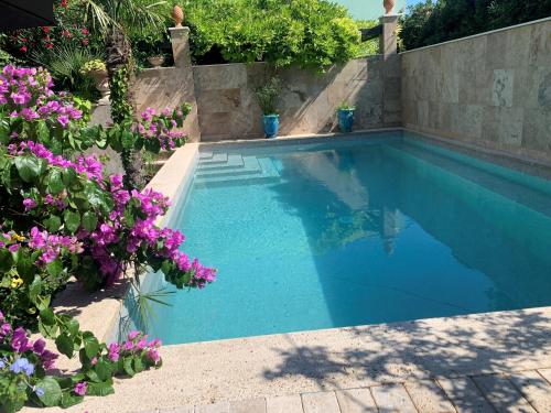 マカルスカにあるLuxury pool central Makarska apartment by Marynの紫の花が咲く庭のスイミングプール