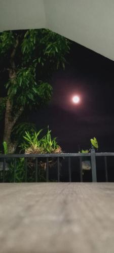 a street light at night with a tree in the background at Kandy IVY Mountain View Resort in Kandy