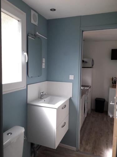 une salle de bain avec un lavabo blanc et un miroir dans l'établissement Gite Nature proche Honfleur, à Fatouville-Grestain