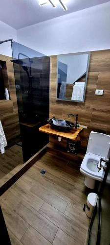 a bathroom with a sink and a toilet and a mirror at Poiana Cerbilor in Slatina