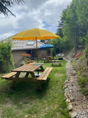a picnic table with an umbrella in the grass at Le Couleau in Chateauroux-les-Alpes
