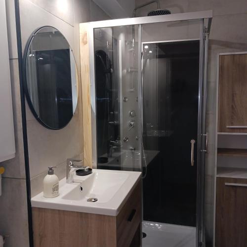 une salle de bain avec un lavabo et une douche avec un miroir dans l'établissement Bayard la tour, à Charleville-Mézières