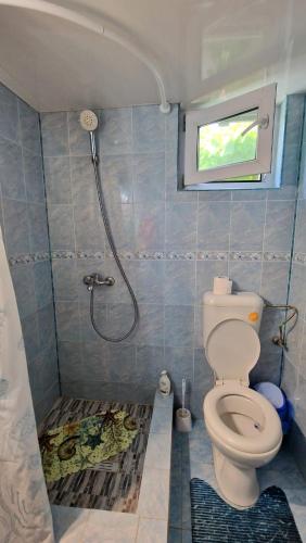 a bathroom with a shower with a toilet and a window at Casa Lidia in Jurilovca