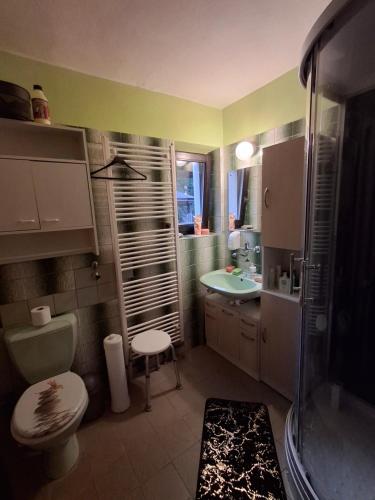 a bathroom with a shower and a toilet and a sink at Pokoj v rodinném se sdílenou koupelnou in Černošice