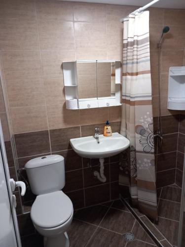 a small bathroom with a toilet and a sink at Къща за гости МИЧЕВИ in Shipkovo
