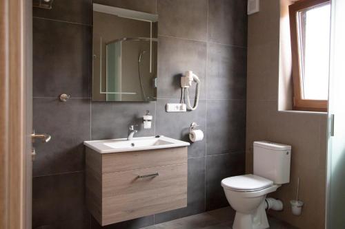 a bathroom with a toilet and a sink and a mirror at Apartmán nad sklepem in Bořetice