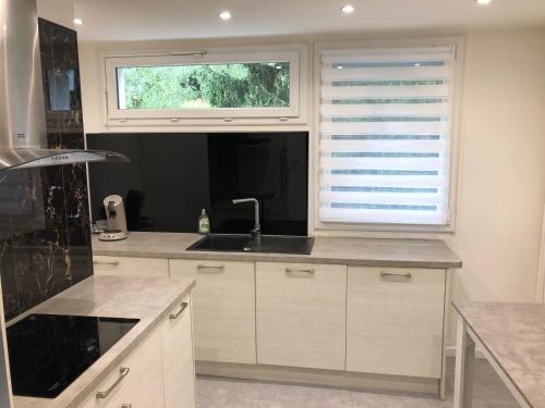 une cuisine avec un évier et une fenêtre dans l'établissement La Sapiniere, à Annecy