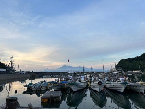 a group of boats are docked in a harbor at Ichifukuso in Tara