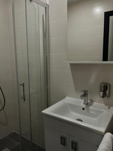 a bathroom with a sink and a glass shower at Prenoćište CMA in Posušje