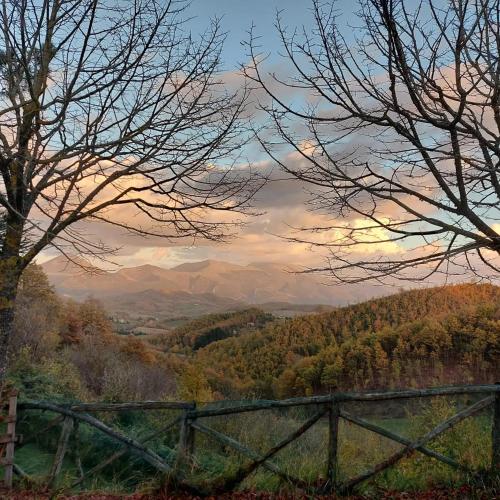 a view of a valley with a fence and trees at BnB Bagno di Bosco in Gubbio