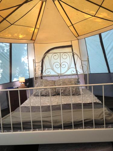 Camping Au Lac Du Drennec Glamping Tent