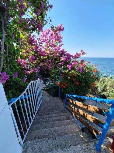 Gallery image of Sunset in Ulcinj