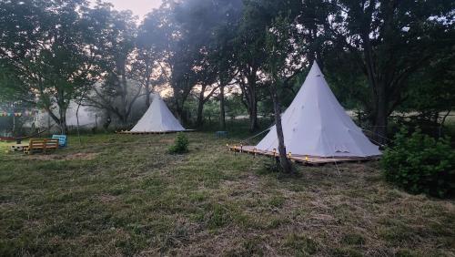Zahrada ubytování Karavani racha