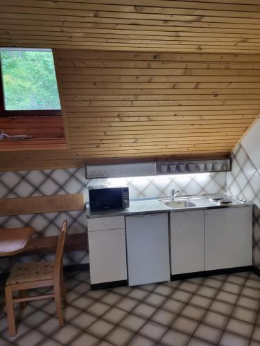 Gallery image of Apartment Dobnikar in Kranjska Gora