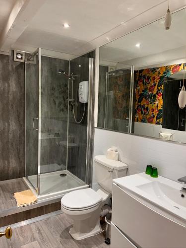a bathroom with a shower and a toilet and a sink at Henwick house accommodation, Continental breakfast included in Ludlow
