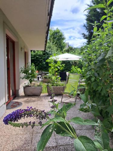 a garden with purple flowers and a chair on a patio at Aparthotel Gaja in Bled