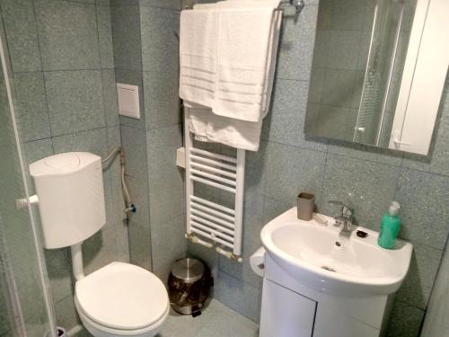 a bathroom with a white toilet and a sink at Camere De Inchiriat Carpati in Hunedoara