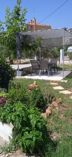 Elizabeth's apartment2