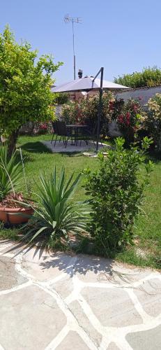 Elizabeth's apartment1