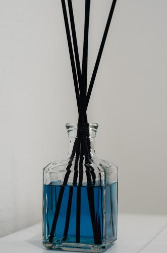 a glass jar filled with water with sticks in it at Al Mare Fuori in Calopezzati