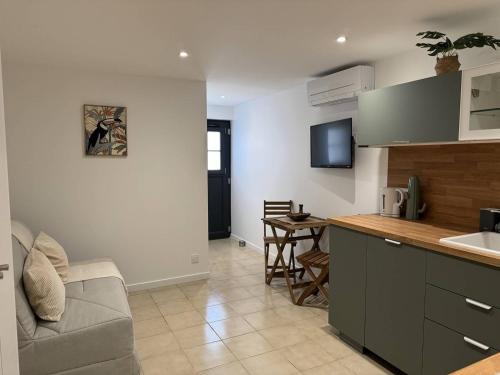 Il dispose d'une cuisine et d'un salon avec un canapé et un évier. dans l'établissement L'appartement Le Levant au Lavandou, au Lavandou