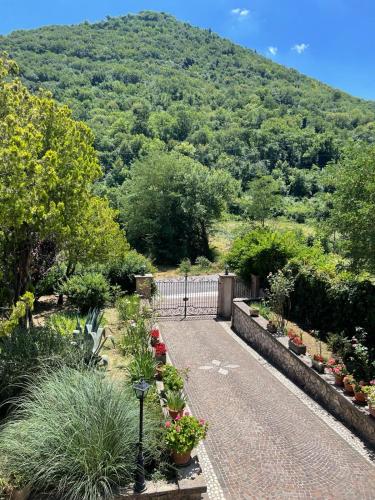 a garden with plants and a fence and a mountain at A casa di Bia in Castro dei Volsci