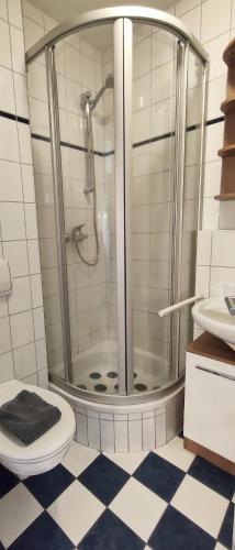 a bathroom with a shower with a toilet and a sink at Hund im Glück in Wangerooge