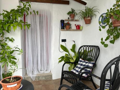 a room with two chairs and a window with plants at Las casillas de la Villa ALEGRÍAS in Montefrío