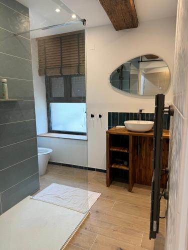 a bathroom with a sink and a mirror at Domaine Le Petit Moulin in Lachy