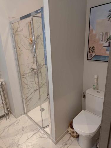 une salle de bain avec douche et toilettes dans l'établissement le bardo, à Aix-les-Bains