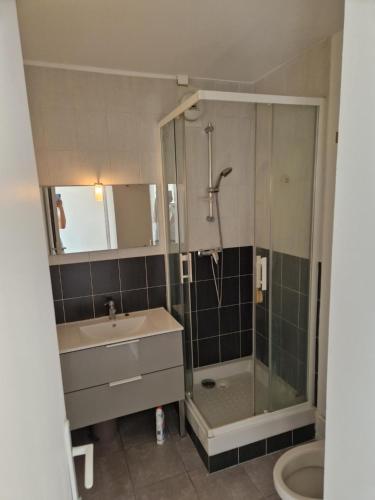 une salle de bain avec un lavabo et une douche dans l'établissement Location Studio meublé période Jeux Olympiques, à Rosny-sous-Bois