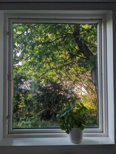 Κήπος έξω από το Casa Alba