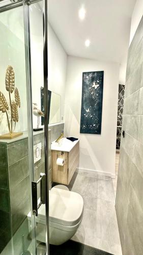 une salle de bain avec toilettes et lavabo dans l'établissement Les Gîtes de la Chapelle 3, à Vauvert