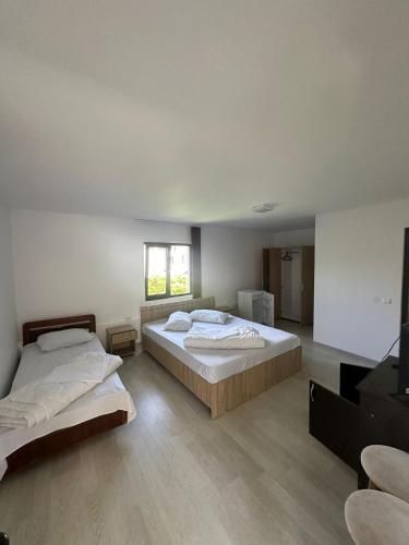 a bedroom with two beds and a television in it at Casa Steluta de Mare in 2 Mai