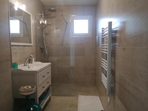 a bathroom with a shower and a sink and a shower at le bonheur est dans le prè in Sauvigney-lès-Pesmes