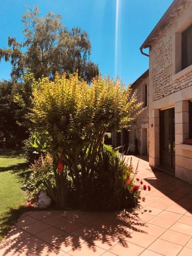Zahrada ubytování Gîte Au Boom Coeur en options SPA et Repas