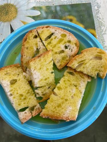 a blue plate with slices of bread on it at Antica Fattoria Borghesi in Fauglia