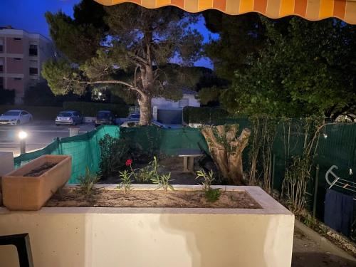 un jardin avec un arbre et une clôture la nuit dans l'établissement Studio en rez de jardin, à Carry-le-Rouet