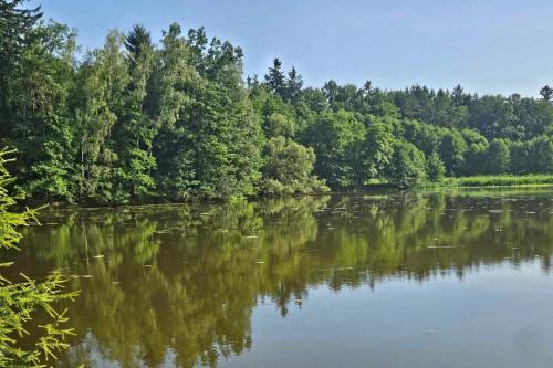 Příroda nedaleko apartmánu