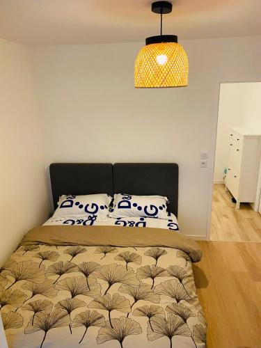 - une chambre avec un lit et une lampe pendant dans l'établissement Le chic de Villiers Sur Marne, à Villiers-sur-Marne