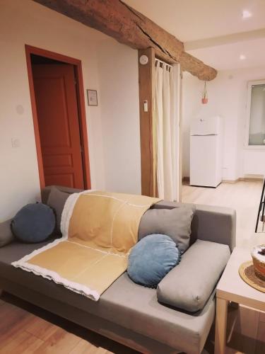 un salon avec un canapé avec des coussins bleus dans l'établissement Charme saint Jean, à Pithiviers