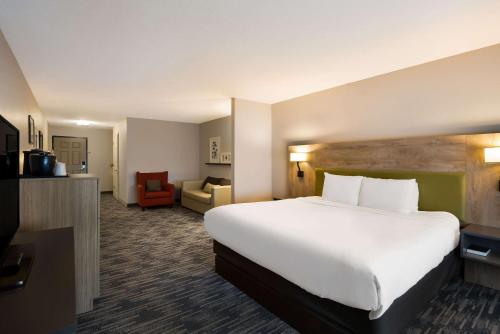 a hotel room with a large bed and a couch at Country Inn & Suites by Radisson, Marion, IL in Marion