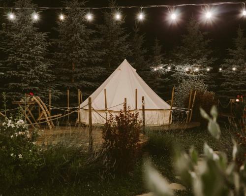 Fotografie z fotogalerie ubytování Valea Doftanei Glamping v destinaci Teşila