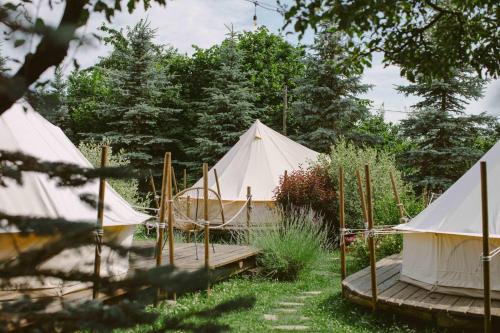 Fotografie z fotogalerie ubytování Valea Doftanei Glamping v destinaci Teşila