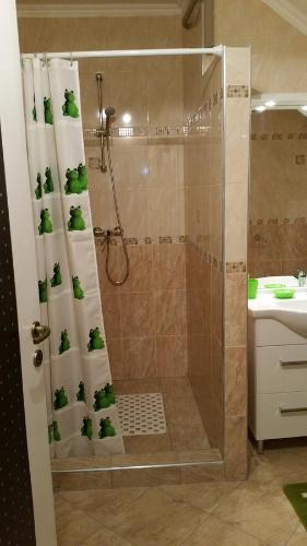 Gallery image of Apartment Patr&iacute;cia with garden in Budapest